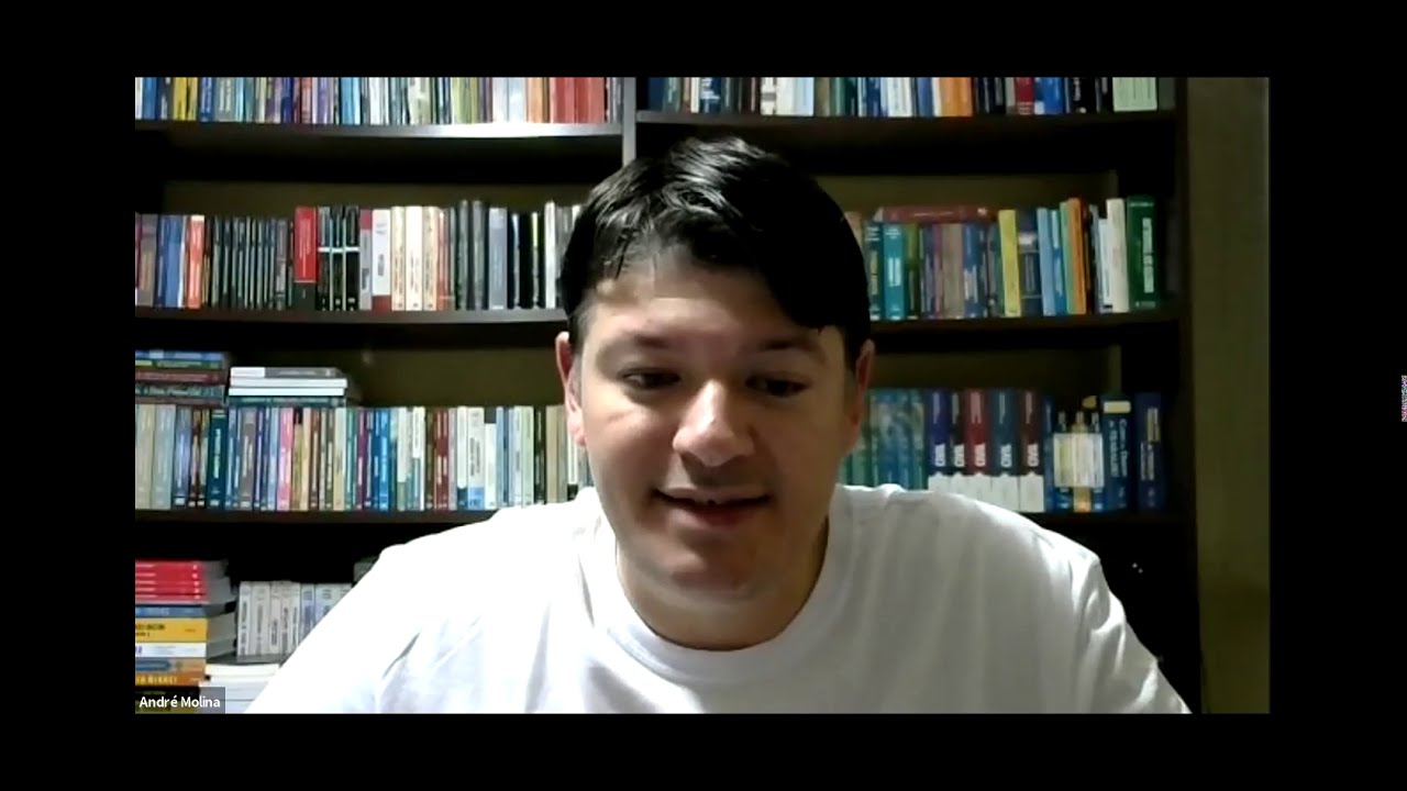 1/4 André Molina • A defesa do estado no contexto da eficácia normativa dos princípios