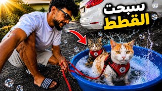 تحدي تسبيح قططي شمعون وجساس لأول مرة… وكانت مهمة مستحيلة! 🐈