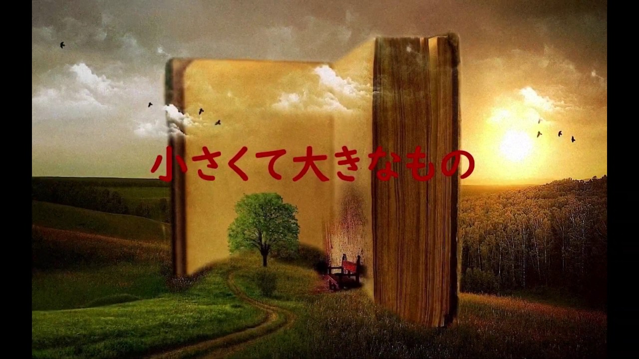 「小さくて大きなこと」mamo MV