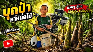 สายฟ้าพาบุกป่าหาหน่อไม้19 มิถุนายน ค.ศ. 2026