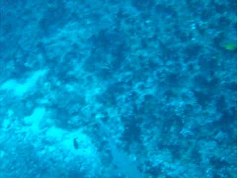 Kandooma Beru @ Maldives