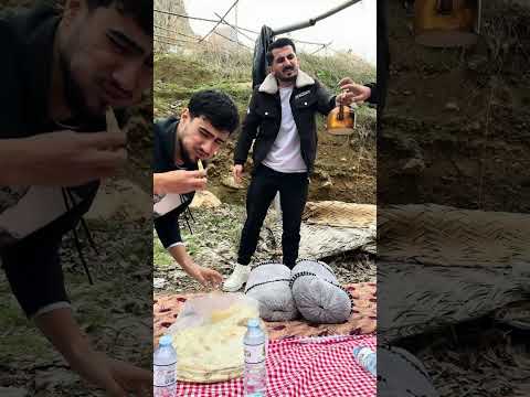 ڤڵۆگی سەرگەڵو بەزمی سیڤەر لەگەڵ میوانەکانمان 