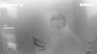 Pirks - P0Ppy5Eed Ztr001Va