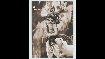 Krishna Status || Dwarkadhis Status || Lord Krishna Shorts Video || Parth Ahir