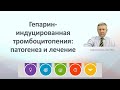 Гепарин-индуцированная тромбоцитопения: патогенез и лечение