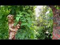 【庭旅 in北海道 】Garden trip in Hokkaido