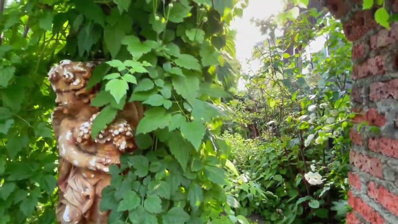 【庭旅 in北海道 】Garden trip in Hokkaido