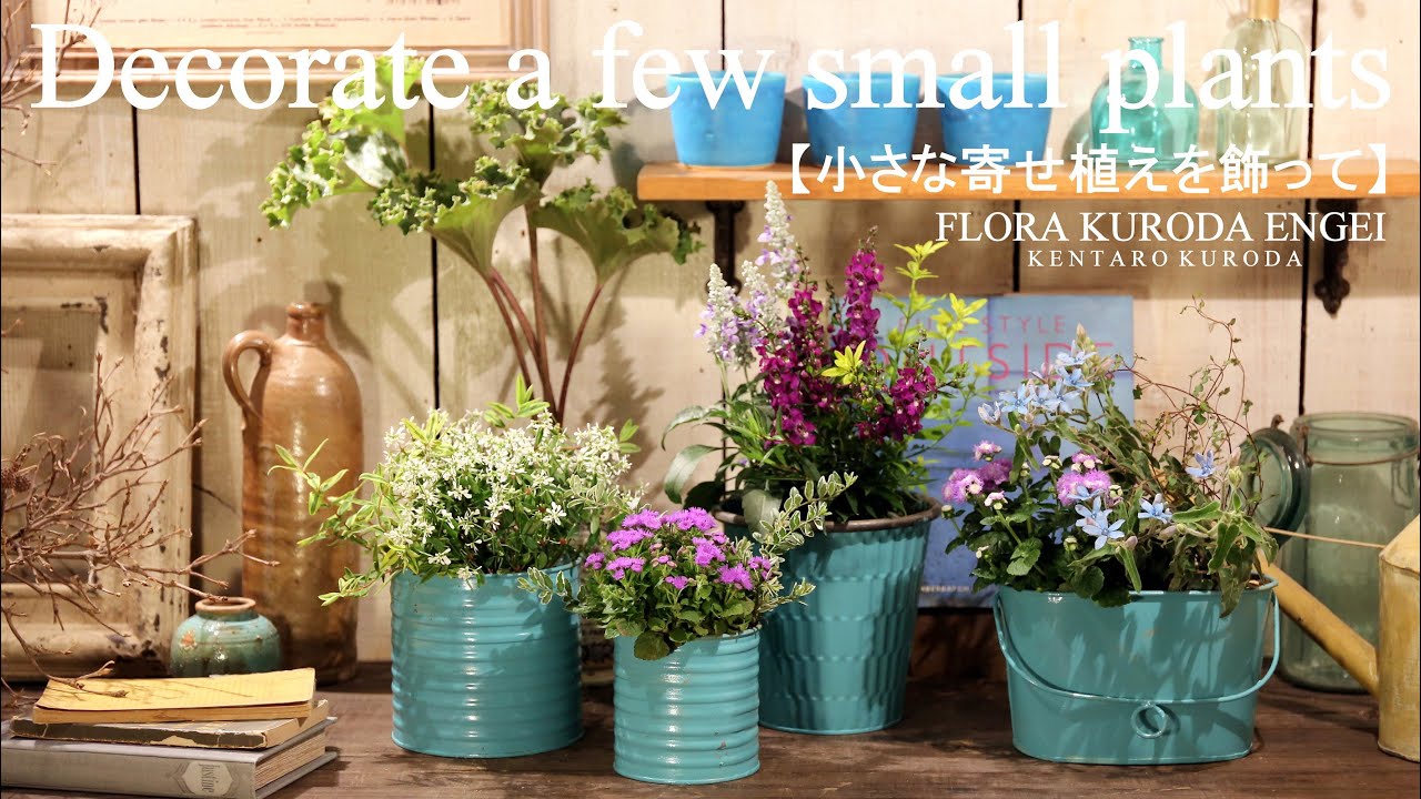 Decorate A Small Collection Of Plants Youtube