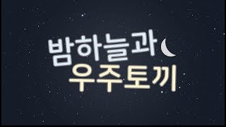 Night Sky and Space Rabbit