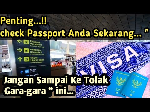 Video: Cara Mencari Pejabat Pasport AS Terdekat Anda