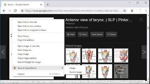 Feature suggestion: Browser extension(s) to save web content directly to SuperMemo