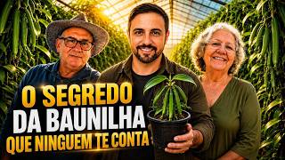 PARE de Usar Baunilha Errado! O Segredo que Ninguém Te Conta