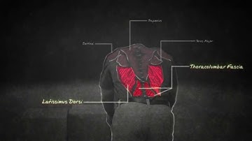 Material Handling   Proper Lifting Techniques