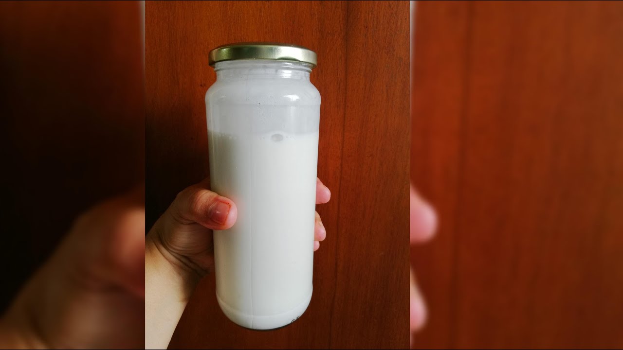 Como hacer Leche de Macadamia Facil