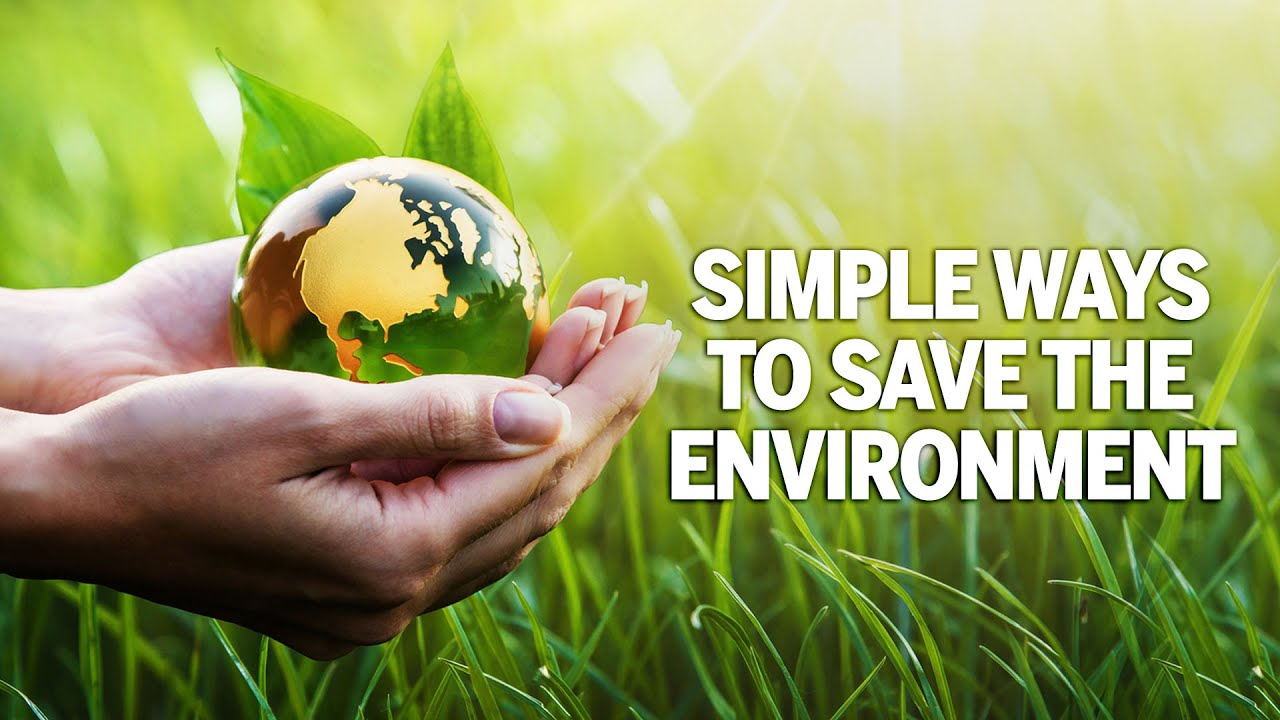 Simple Ways To Save The Environment | World Environment Day 2019 ...