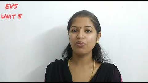 Grade 3/Unit 5 With Taste With Health/ Part 1/Page no. 60-65