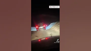 شعر مرات تلكالك شخص حالات واتساب ستوريات تيك توك 