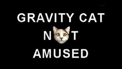 Gravity cat not  amused