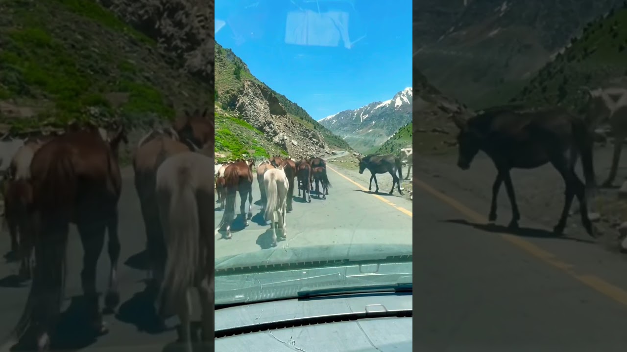 Beautiful trip Naran kaghan 