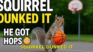 Squirrel Dunks Tiny Basketball Video