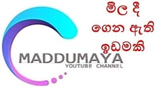 land for sale in padaviya | real estate | land for sale | Luxury Sri Lanka | maddumaya