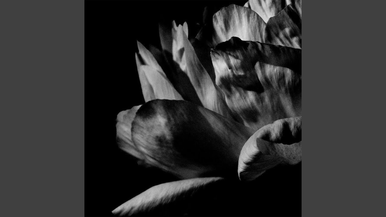 Guarda Echoes su YouTube Guarda Echoes su YouTube