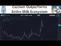 Bastard Child of #SHIB, #Calcium Token Outperforms Ecosystem so far!!!