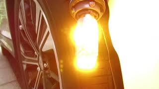 Athlete Statistics Shimarisu-Do's BAU15s LED Bulb on Mitsubishi Eclipse Cross