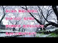 雪桜/石上久美子 カラオケ