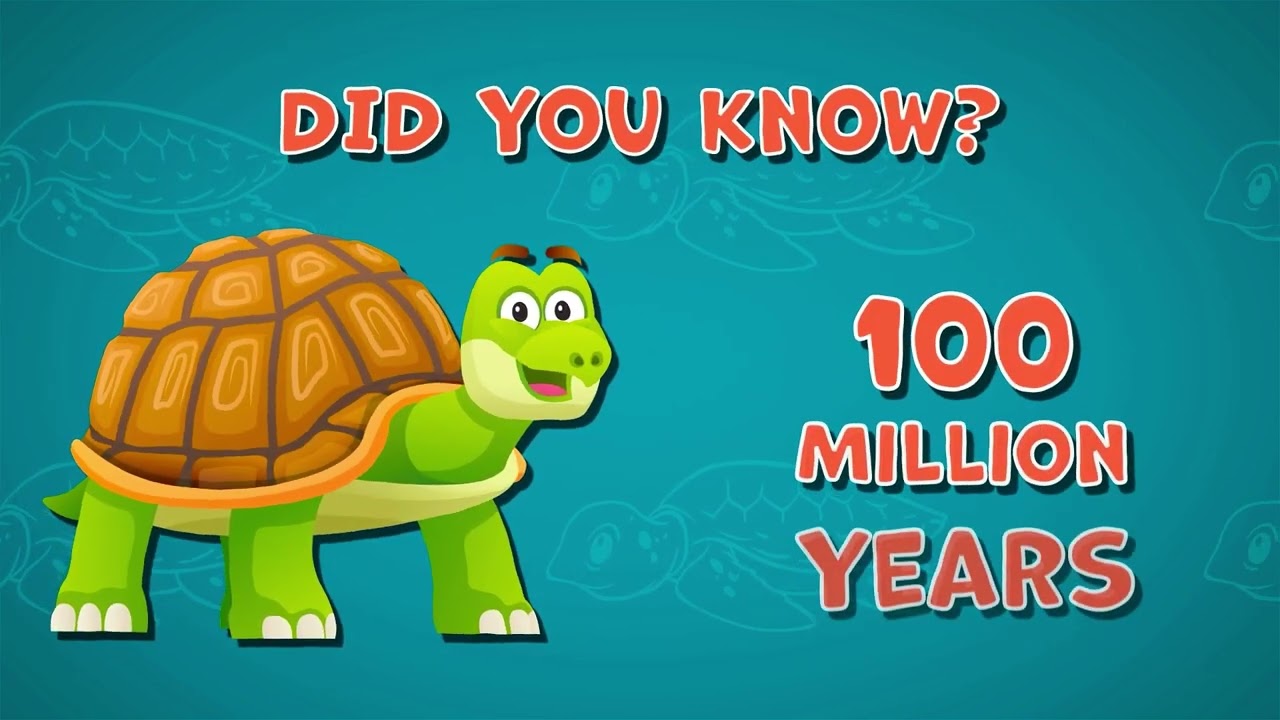 Интересно, сколько лет черепахам? | Факты о черепахах для детей | Интересные факты об истории чер...