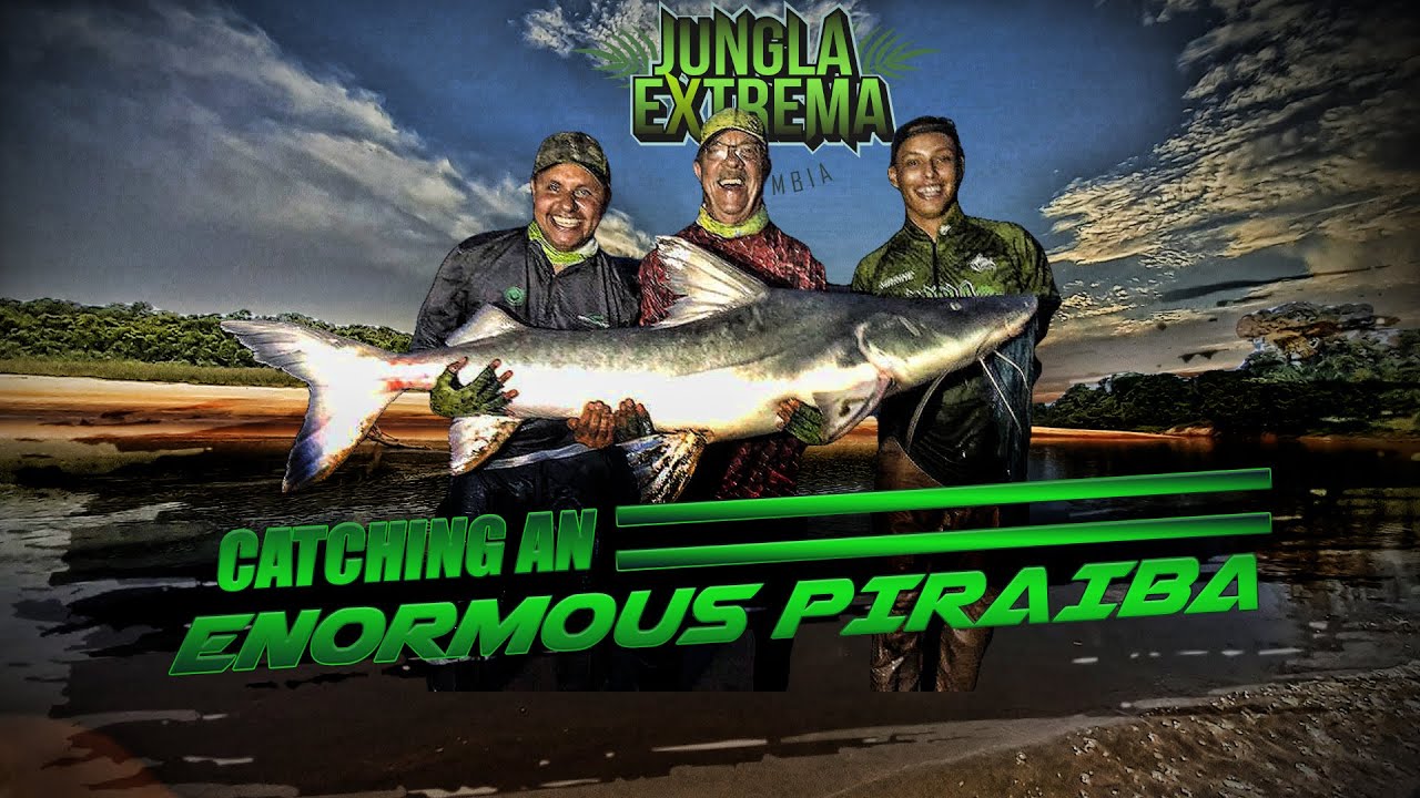 PIRAIBA -  VALENTON GIGANTE PELEA 1 HORA l  Jungla Extrema Fishing Tours - Colombia
