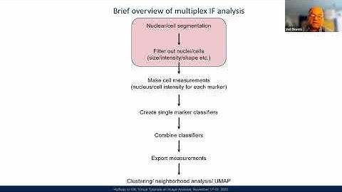 Practical Considerations for Using InstanSeg v Cellpose in QuPath for Multiplex Immunofluorescence