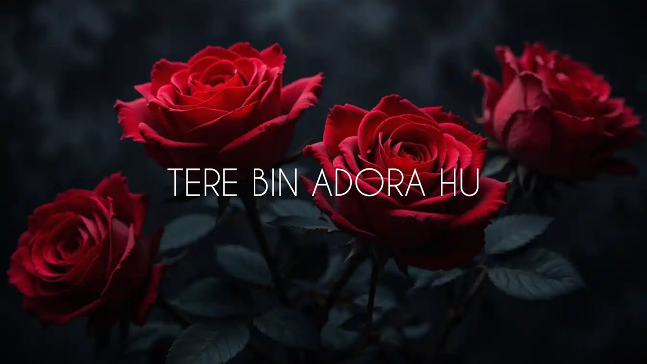 Tere Bin Adora Hu (Song) Jass | latest hindi song |