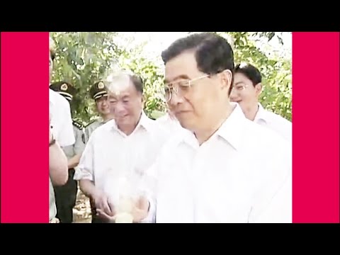 有人问我你究竟是哪里好，这么多年我还忘不了……胡锦涛主席的“吃播”合辑③祝大家周末愉快