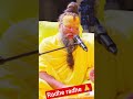 radhe radhe gate chalo shab kam hota chalega#viral #shorts #trending #motivation #premanandji video🙏