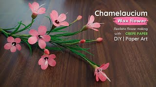 Wax flower | Flower making | Chamelaucium | Crepe paper flower making tutorial