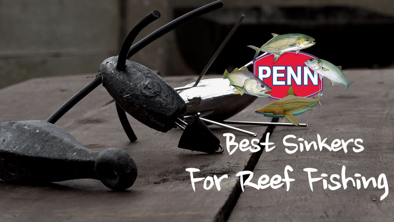 What sinkers to use in the Reef 