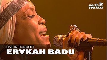 Erykah Badu - 