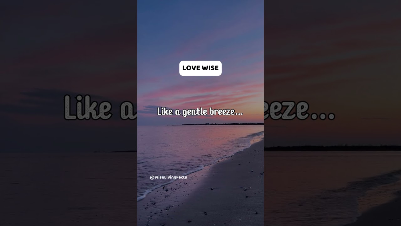 🌬️ Let Love Be Your Calm 🌊 | 30 Impactful Quotes. 