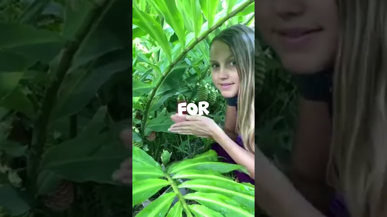 Unlimited Shampoo Plant