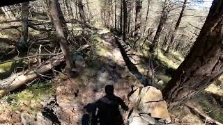 Descenso de las Viudas - Renedo de Cabuérniga 🐐