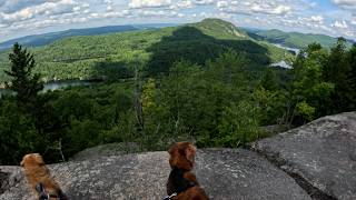 One Last Adventure in Quebec | Solo Vanlife with Two Dogs (Nova Scotia Series Ep. 8)