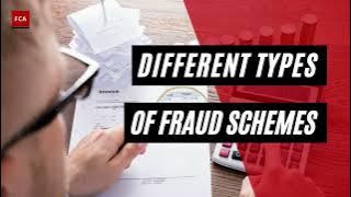 The Anatomy of Fraud: Exploring the Multifaceted World of Deceptive Schemes