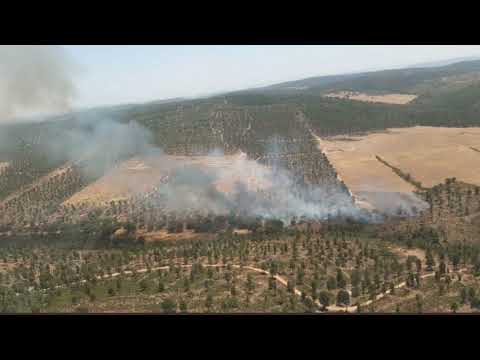 Incendios Forestales en la Provincia de Ciudad Real Noticia Informativos 26/07/2022