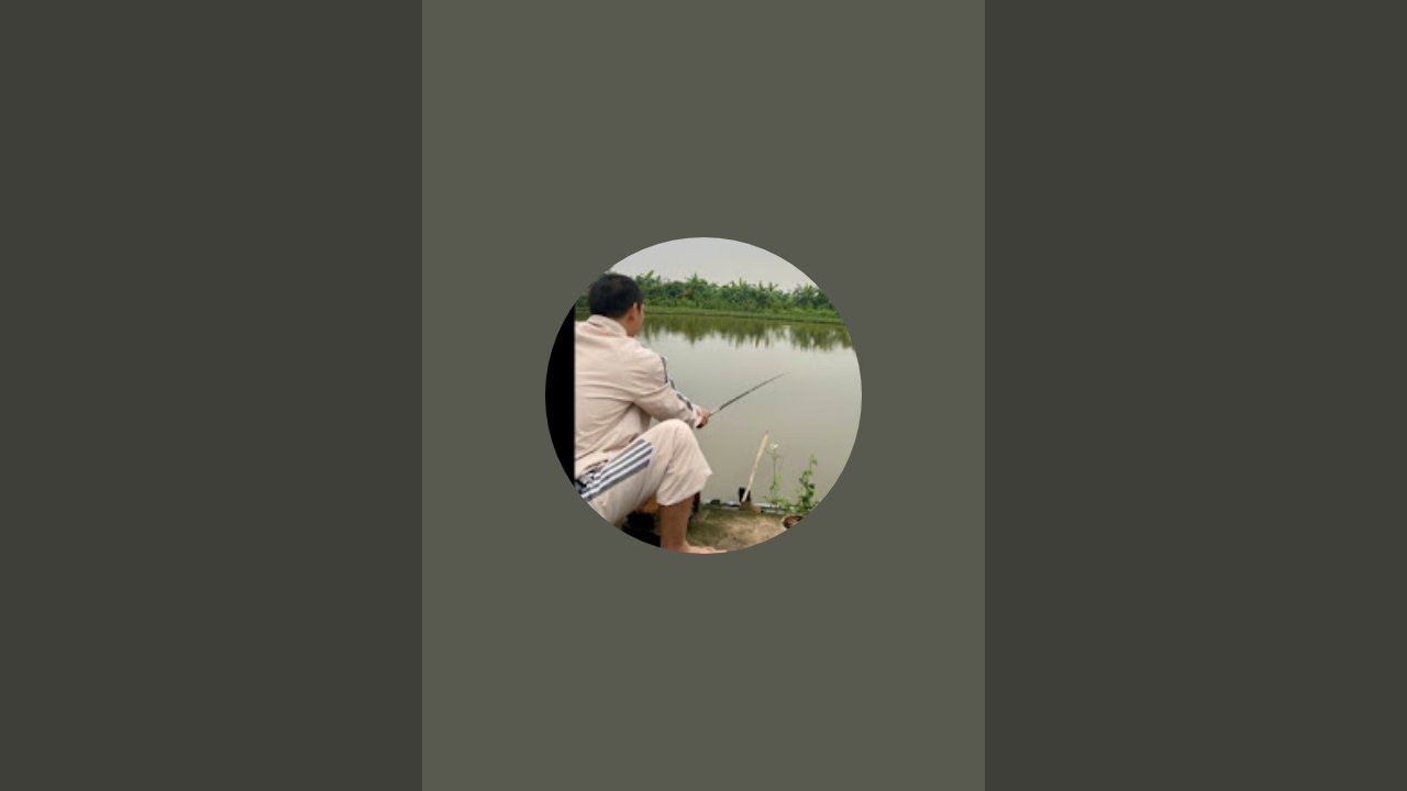 Giải trí quanh ta vlog  đang phát trực tiếp!