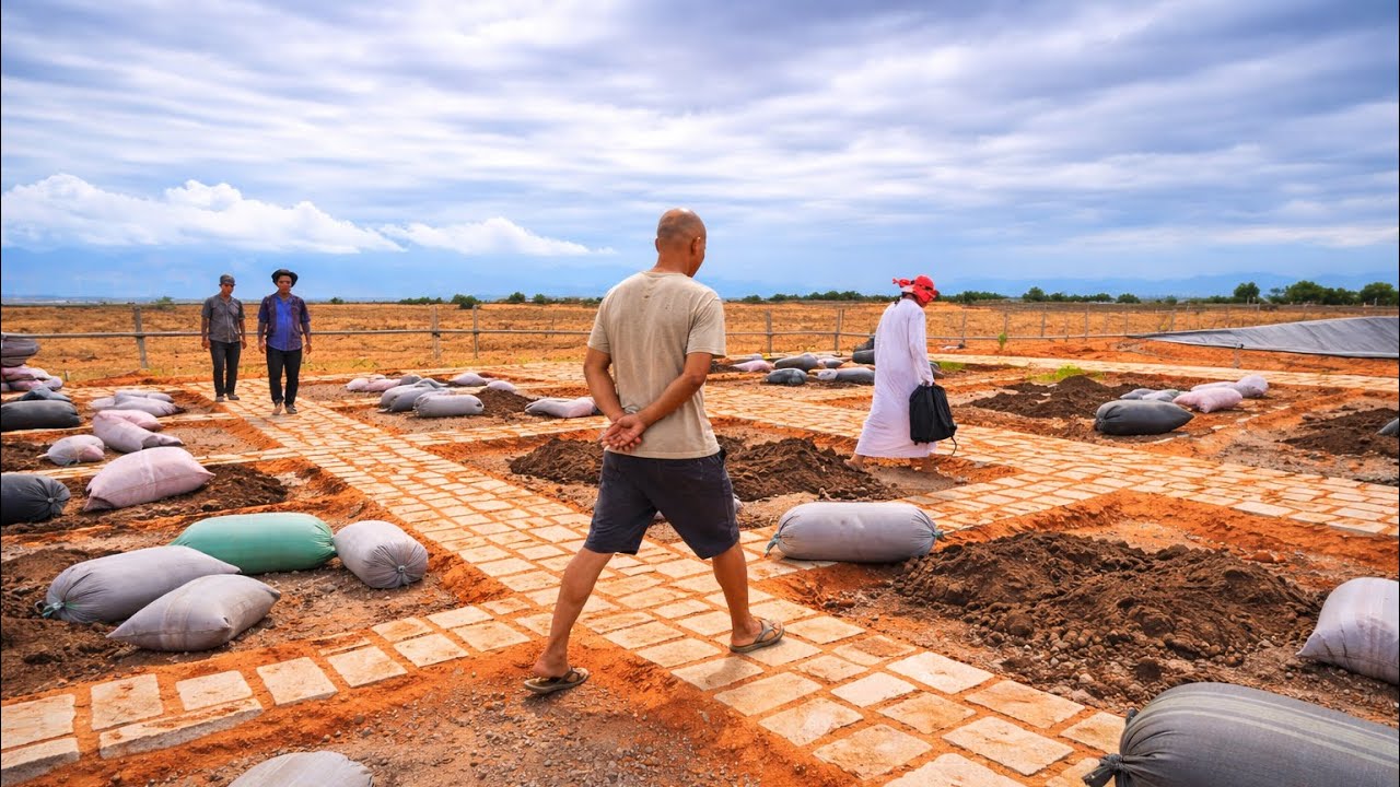 HÔM NAY CẢ TRANG TRẠI HOẢNG LOẠN VÌ VỊ KHÁCH KHÔNG MỜI MÀ ĐẾN!