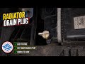 Kia Picanto 2019 Petrol 998cc Radiator Coolant Drain Plug Location