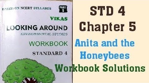 4th STD Environmental Studies looking Around Chapter 5 Anita and the Honeybees Semester 1 Workbook