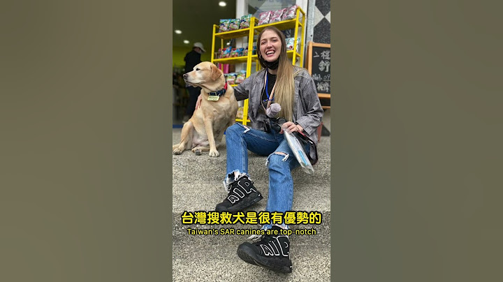 台湾搜救犬降落在土耳其了！Taiwan Search and Rescue Dogs in Turkey now! 加油加油 - 天天要闻