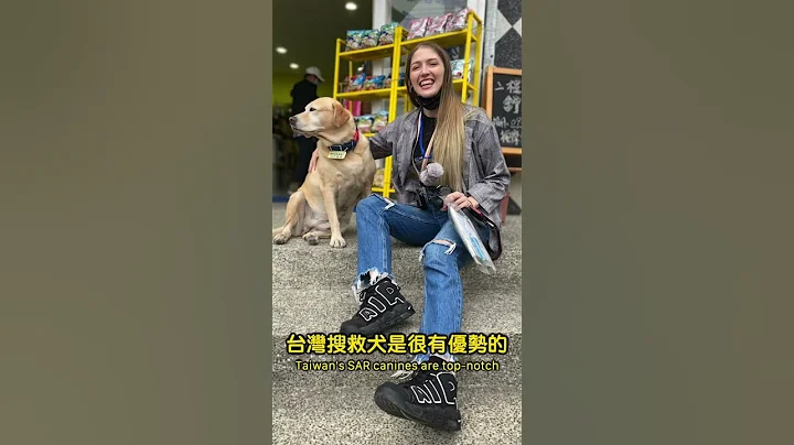 台灣搜救犬降落在土耳其了！Taiwan Search and Rescue Dogs in Turkey now! 加油加油 - 天天要聞